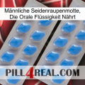 Männliche Seidenraupenmotte, Die Orale Flüssigkeit Nährt 23
